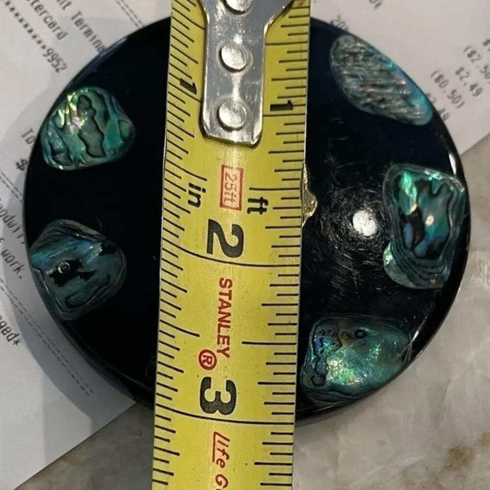 New Zealand resin paperweight Kiwi bird and Paua abalone shell